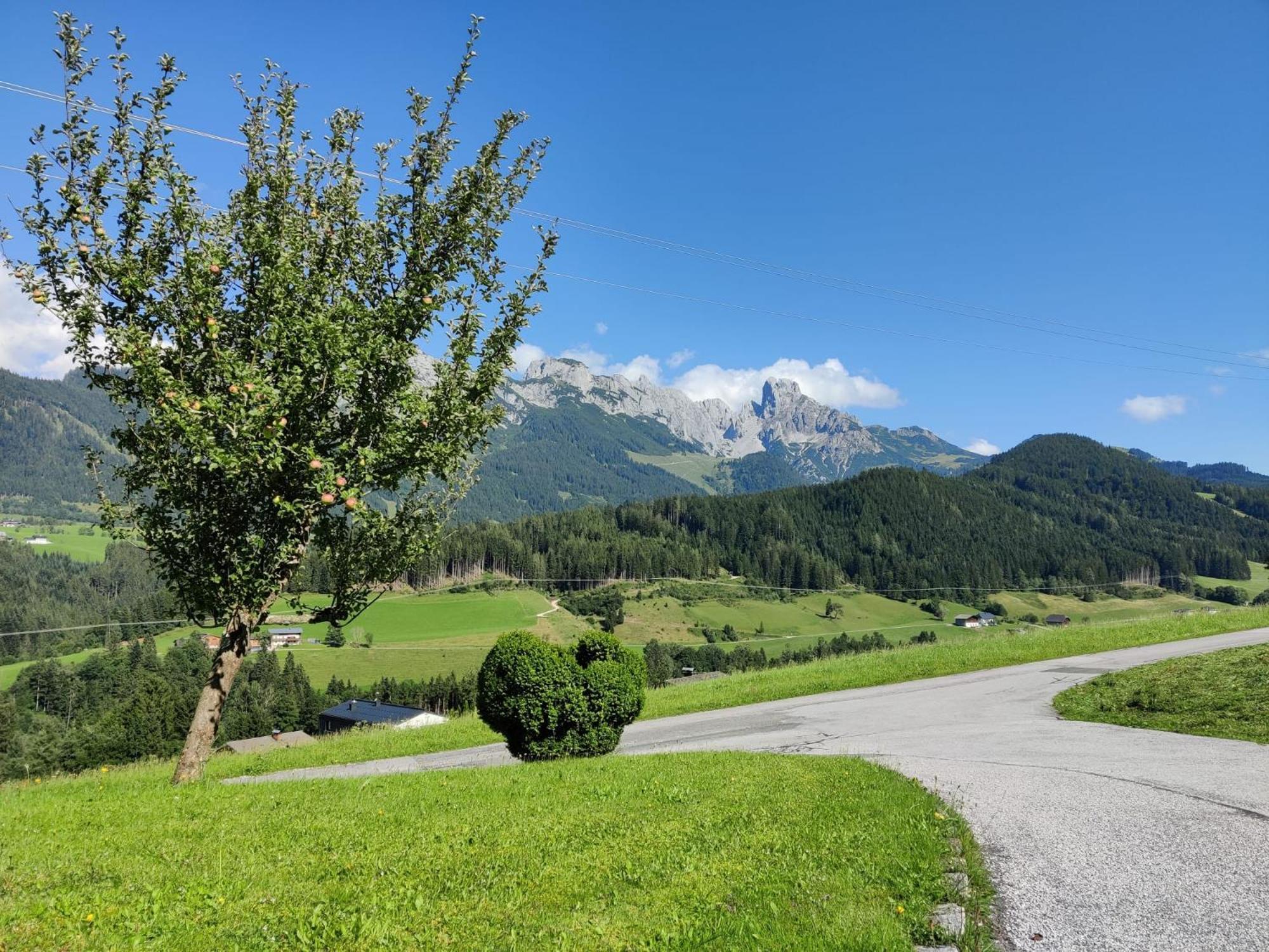 Hefenscherbauer Annaberg im Lammertal Exterior foto